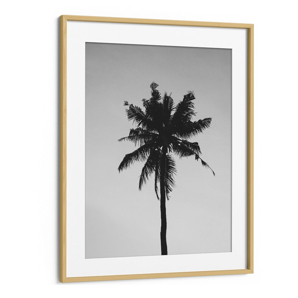 Shadowed Tropics Beach Prints Coastal Wall Art in Oak Wood Frame With Mount