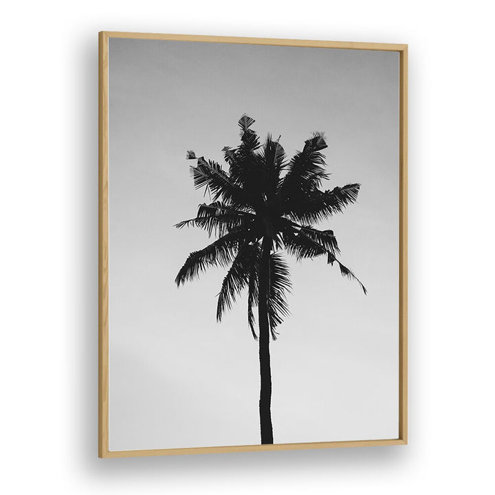 Shadowed Tropics Beach Prints Coastal Wall Art in Oak Wood Plain Frame