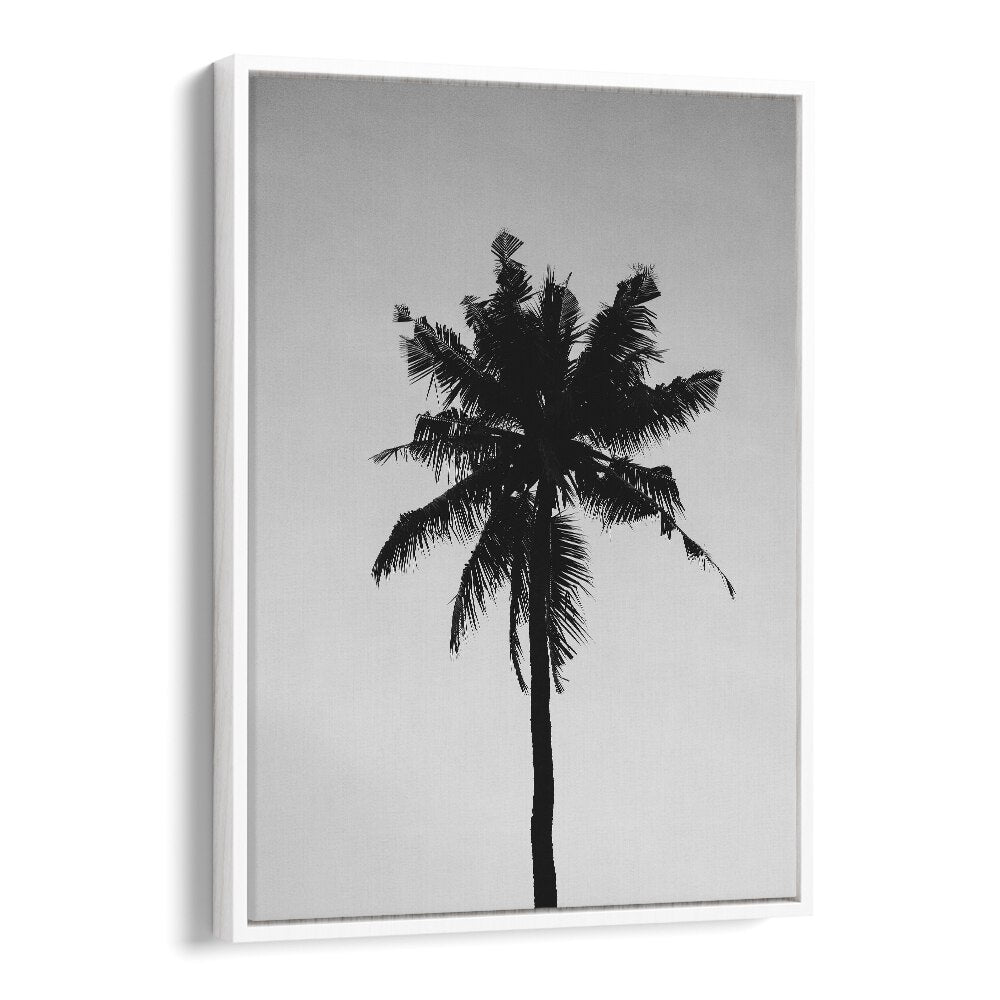 Shadowed Tropics Beach Prints Coastal Wall Art in White Floater Frame