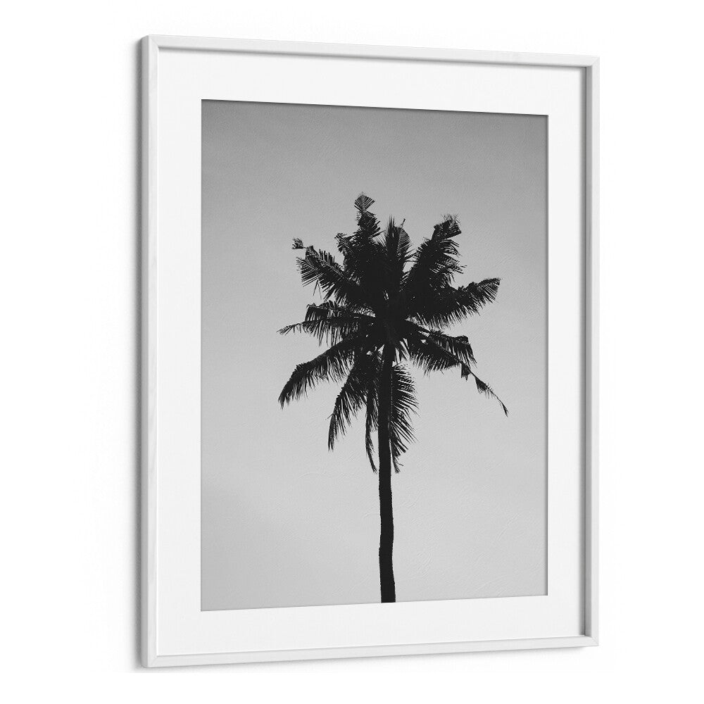 Shadowed Tropics Beach Prints Coastal Wall Art in White Frame With Mount