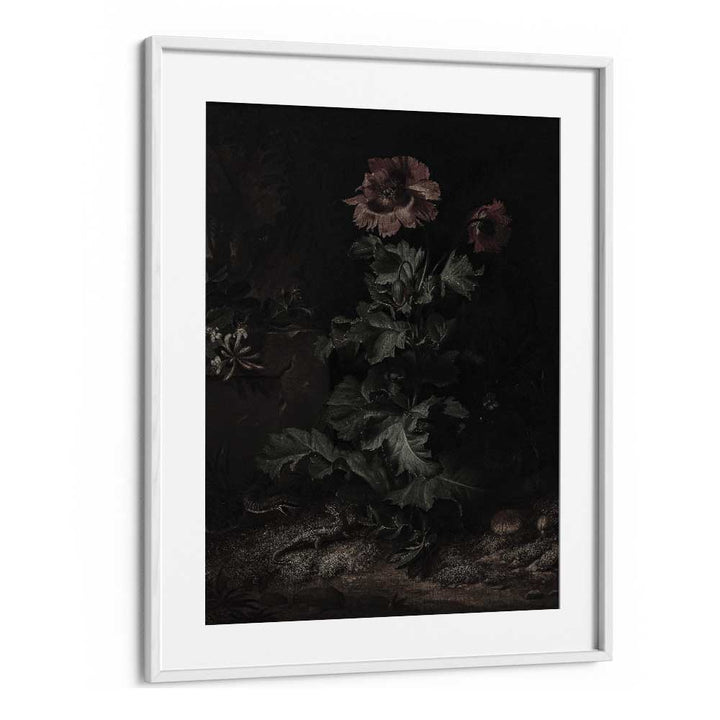 Shadows In Bloom Gothic Wall Art Prints in White Frame With Mount