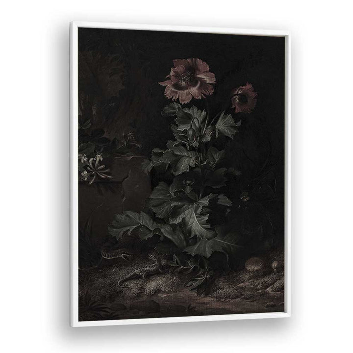 Shadows In Bloom Gothic Wall Art Prints in White Plain Frame