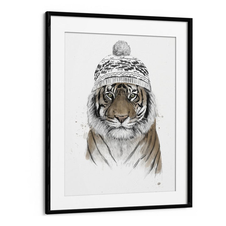 Siberian Tiger By Balazs Solti Wildlife Art Prints in Black Frame With Mount