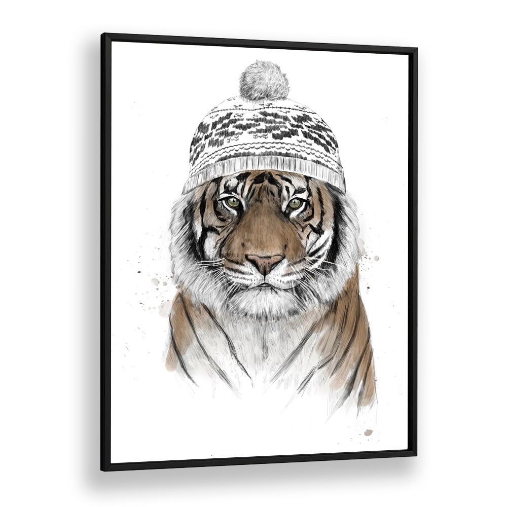 Siberian Tiger By Balazs Solti Wildlife Art Prints in Black Plain Frame