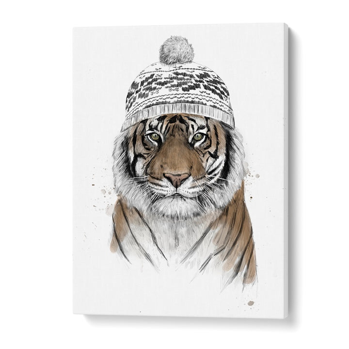 Siberian Tiger By Balazs Solti Wildlife Art Prints in Gallery Wrap