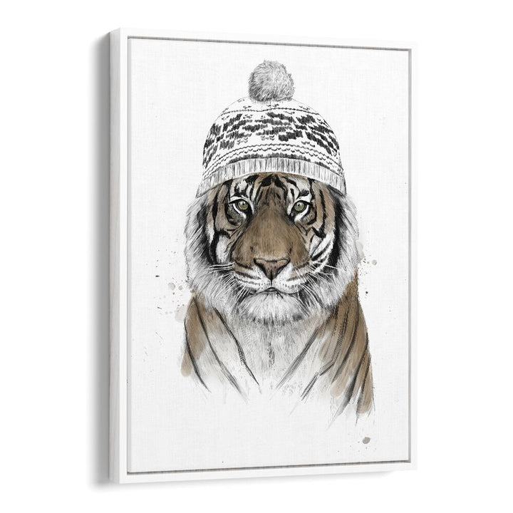 Siberian Tiger By Balazs Solti Wildlife Art Prints in White Floater Frame