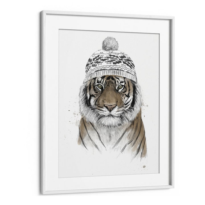 Siberian Tiger By Balazs Solti Wildlife Art Prints in White Frame With Mount