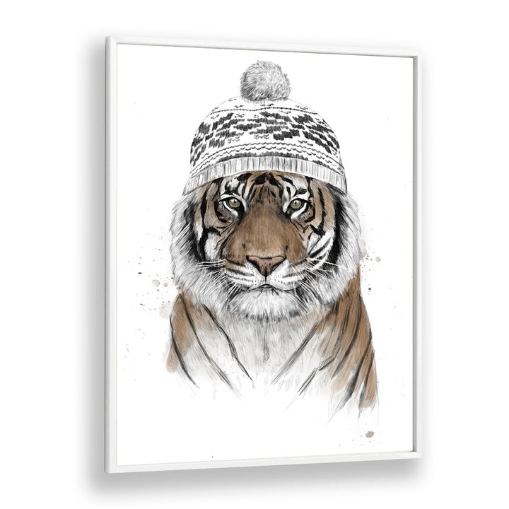 Siberian Tiger By Balazs Solti Wildlife Art Prints in White Plain Frame