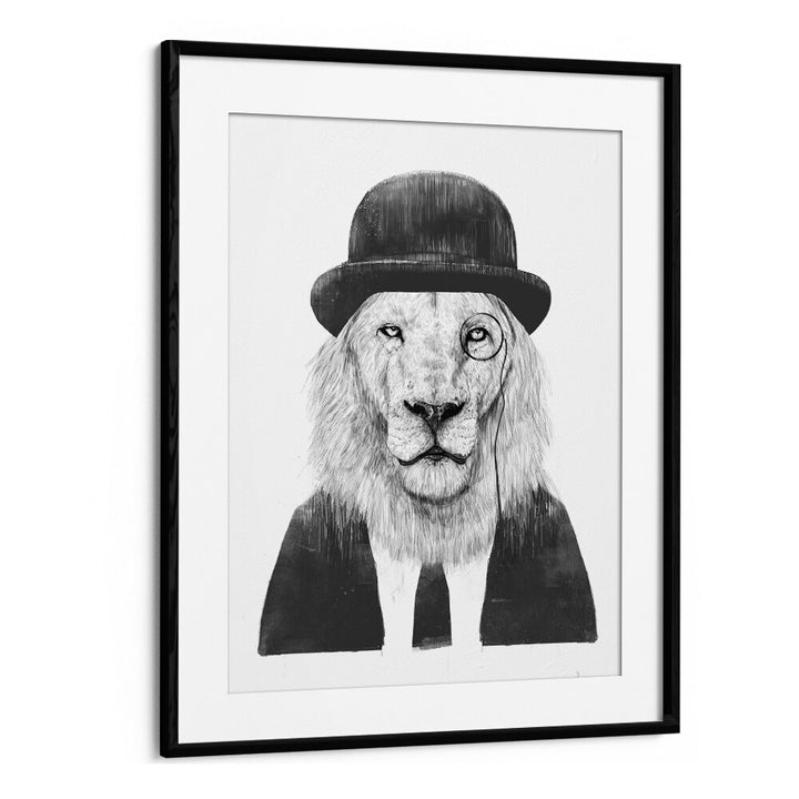 Sir Lion By Balazs Solti Wildlife Art Prints in Black Frame With Mount