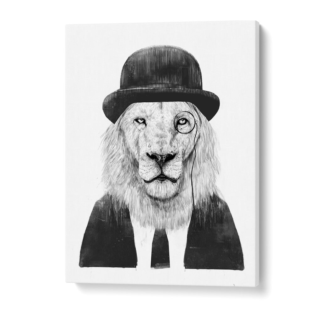 Sir Lion By Balazs Solti Wildlife Art Prints in Gallery Wrap