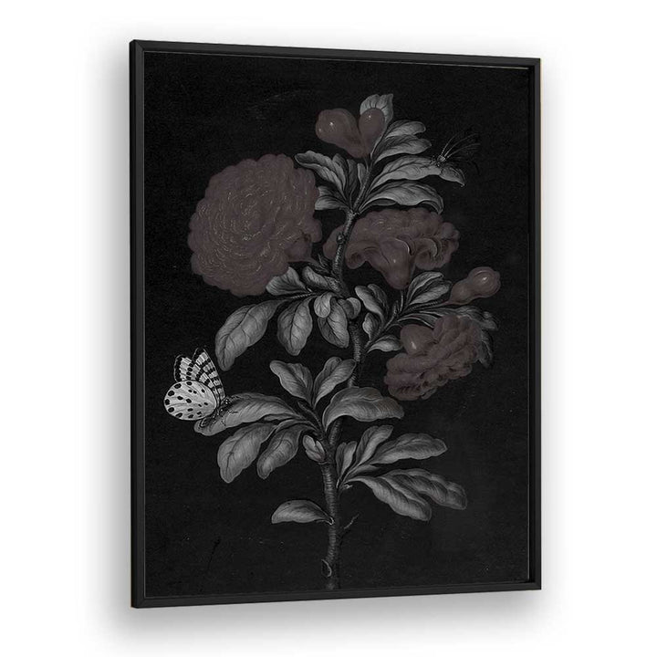 Spectral Petals i Gothic Wall Art Prints in Black Plain Frame