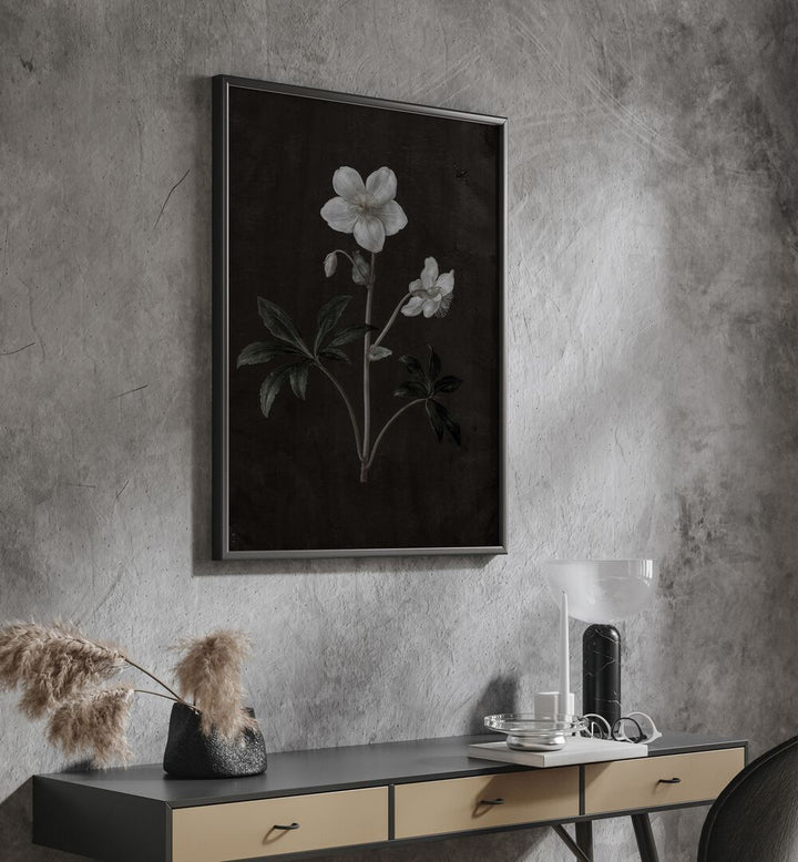 Spectral Petals ii Gothic Wall Art Prints in Black Plain Frame hanging on wall above console table.