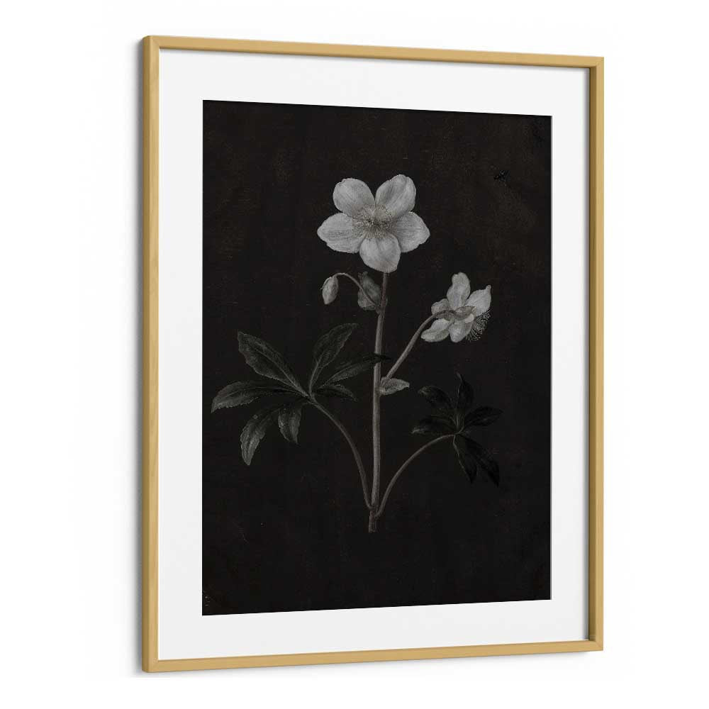 Spectral Petals ii Gothic Wall Art Prints in Oak Wood Frame With Mount