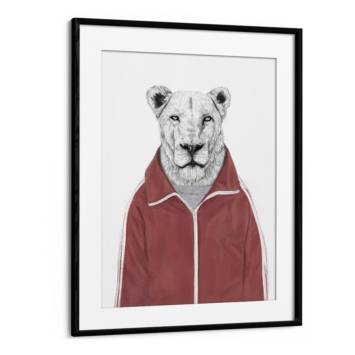 Sporty Lion By Balazs Solti Wildlife Art Prints in Black Frame With Mount