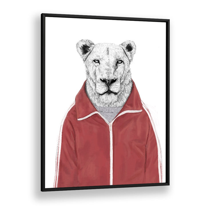 Sporty Lion By Balazs Solti Wildlife Art Prints in Black Plain Frame