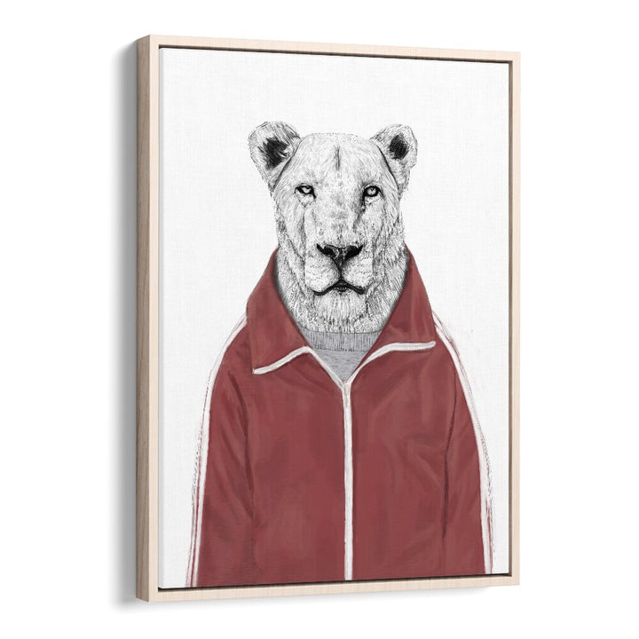 Sporty Lion By Balazs Solti Wildlife Art Prints in Oak Wood Floater Frame