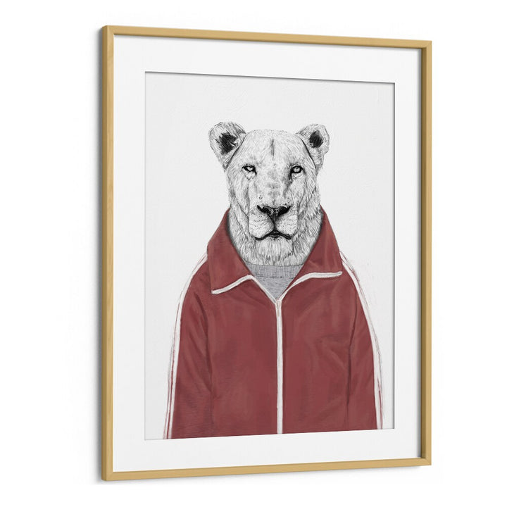 Sporty Lion By Balazs Solti Wildlife Art Prints in Oak Wood Frame With Mount