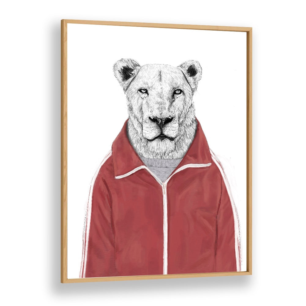 Sporty Lion By Balazs Solti Wildlife Art Prints in Oak Wood Plain Frame