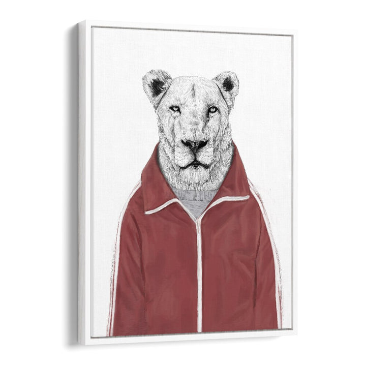 Sporty Lion By Balazs Solti Wildlife Art Prints in White Floater Frame