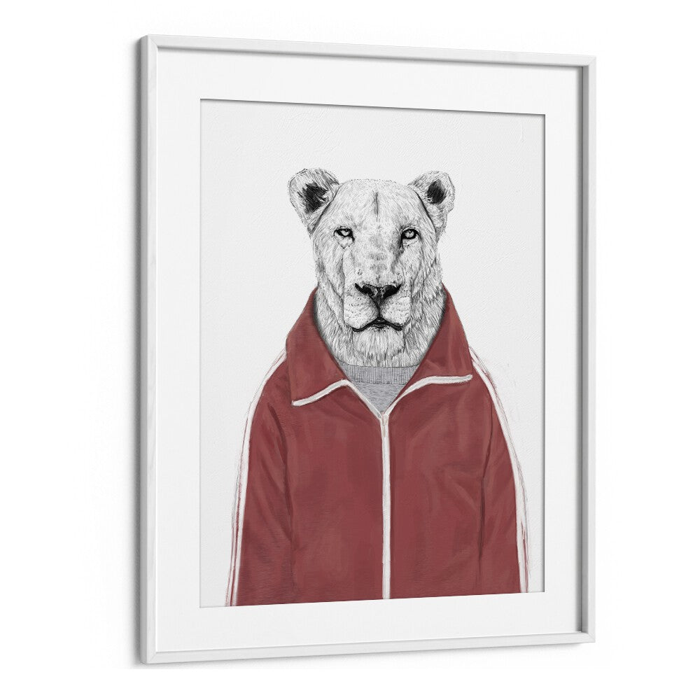 Sporty Lion By Balazs Solti Wildlife Art Prints in White Frame With Mount