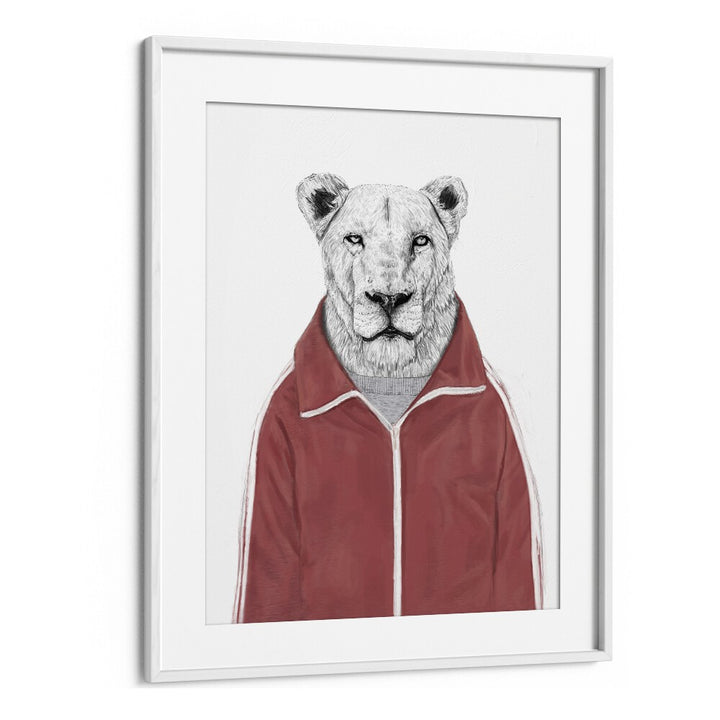 Sporty Lion By Balazs Solti Wildlife Art Prints in White Frame With Mount