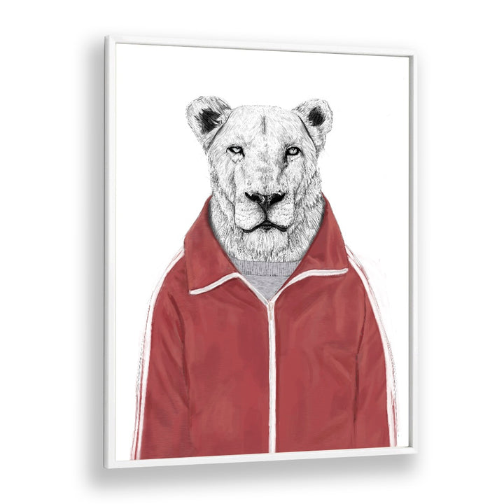 Sporty Lion By Balazs Solti Wildlife Art Prints in White Plain Frame