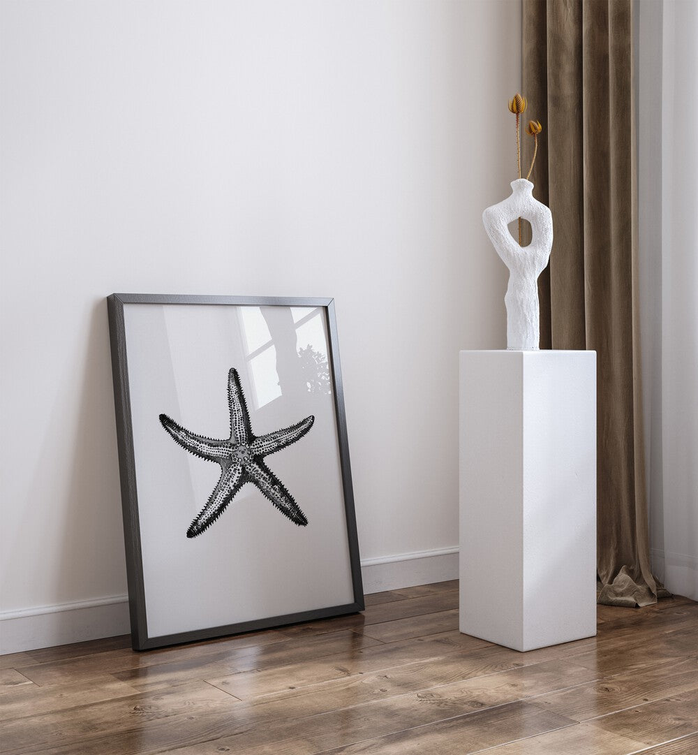 Star Beach Prints Coastal Wall Art in Black Plain Frame placed on the floor near a White Colored Wall in the Living Room