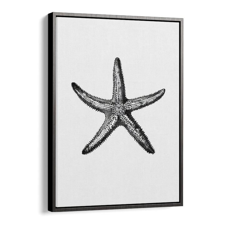 Star Beach Prints Coastal Wall Art in Black Floater Frame