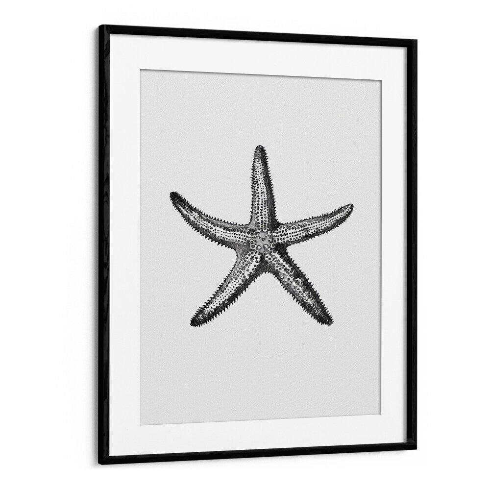 Star Beach Prints Coastal Wall Art in Black Frame With Mount