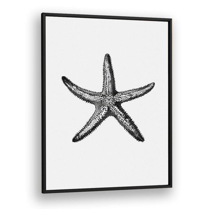 Star Beach Prints Coastal Wall Art in Black Plain Frame