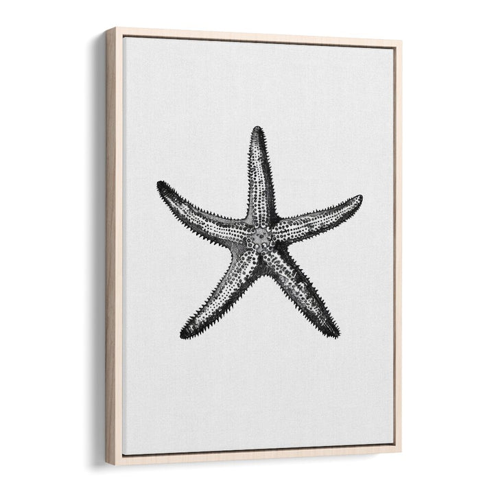 Star Beach Prints Coastal Wall Art in Oak Wood Floater Frame