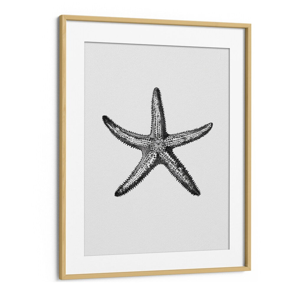 Star Beach Prints Coastal Wall Art in Oak Wood Frame With Mount