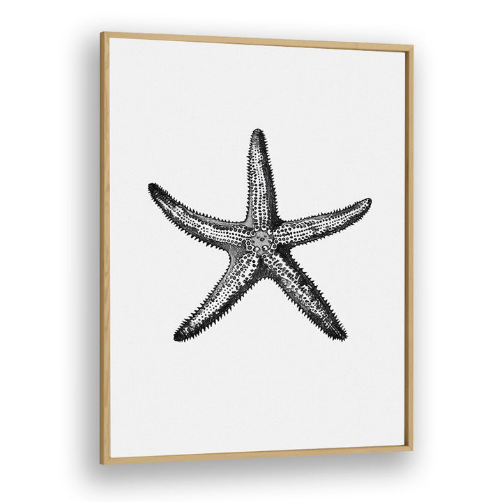 Star Beach Prints Coastal Wall Art in Oak Wood Plain Frame