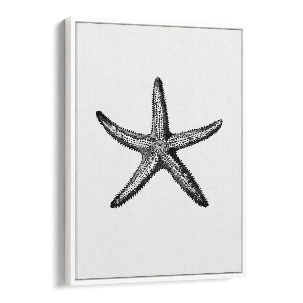 Star Beach Prints Coastal Wall Art in White Floater Frame