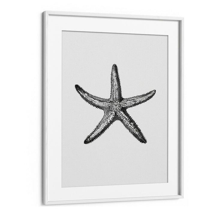 Star Beach Prints Coastal Wall Art in White Frame With Mount