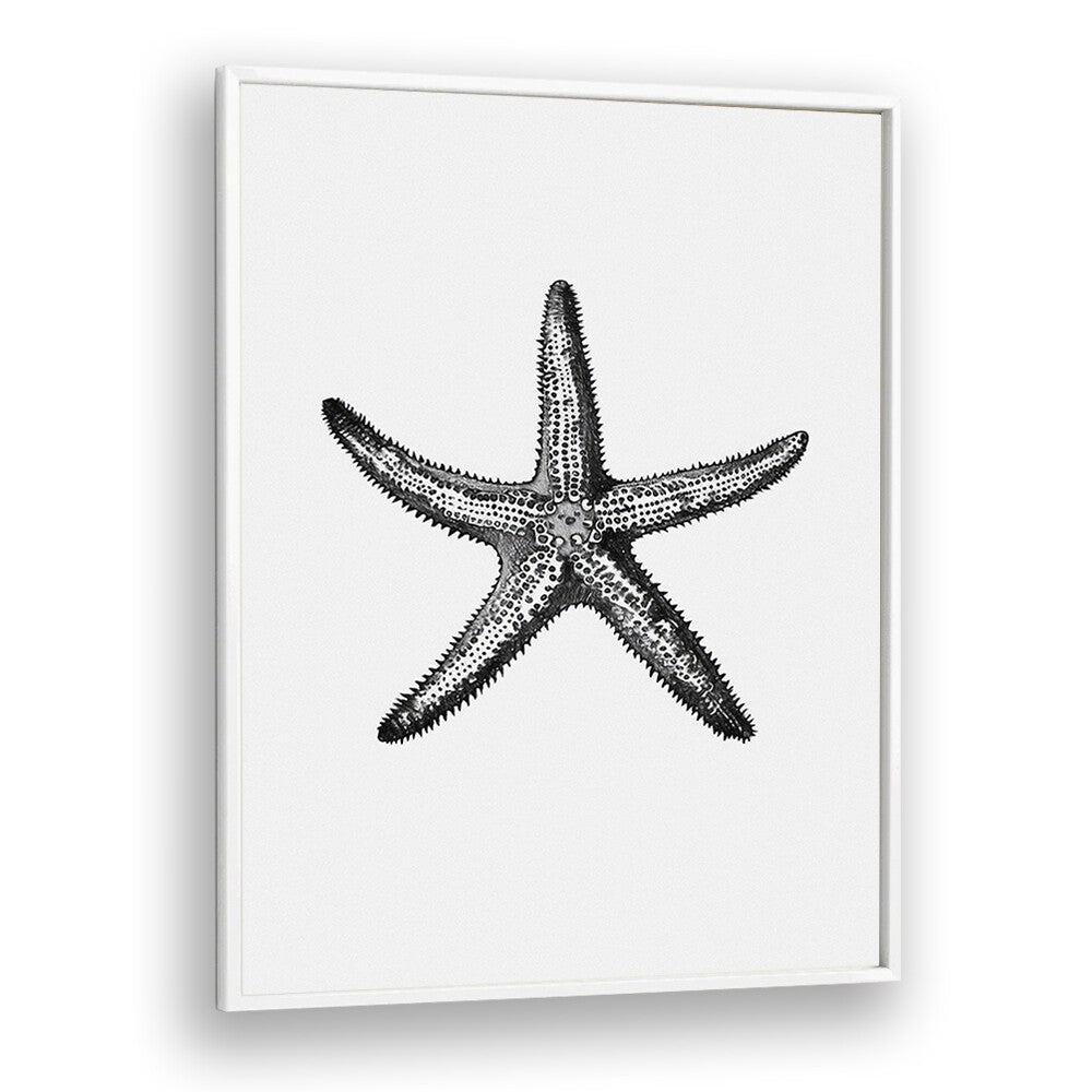 Star Beach Prints Coastal Wall Art in White Plain Frame