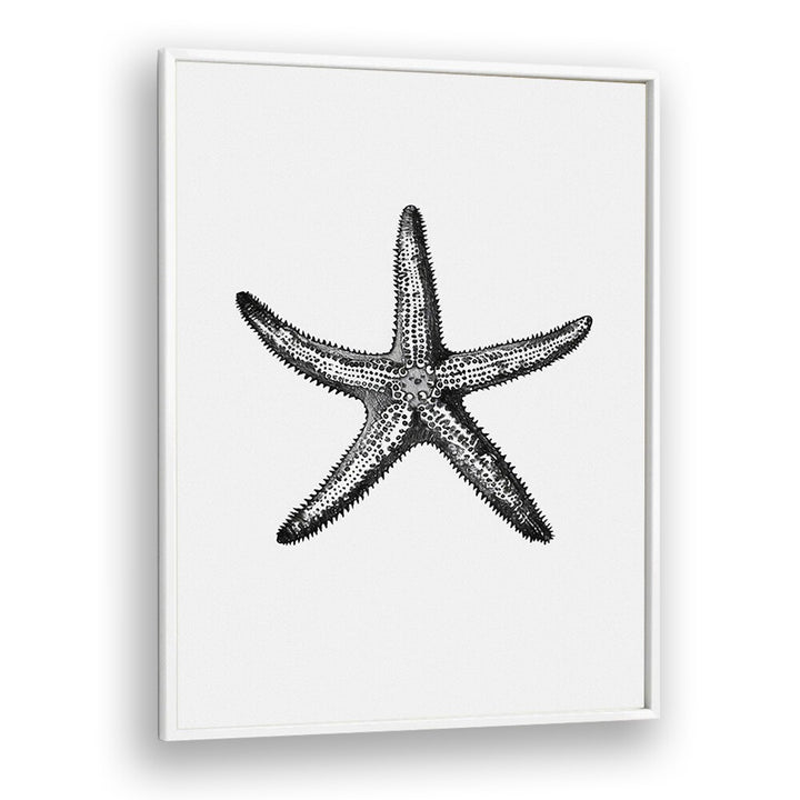 Star Beach Prints Coastal Wall Art in White Plain Frame