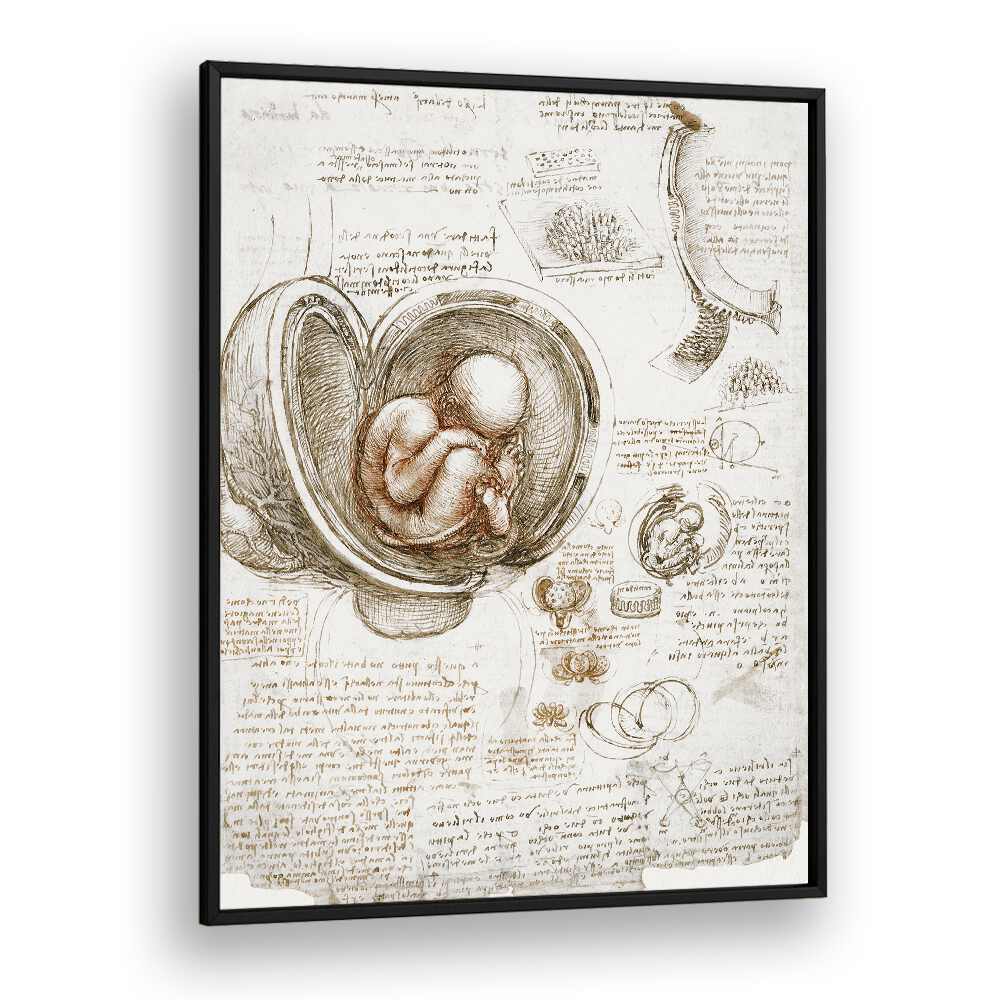 Studies Of The Foetus In The Womb Circa 1510-1513 Vintage Paintings in Black Plain Frame