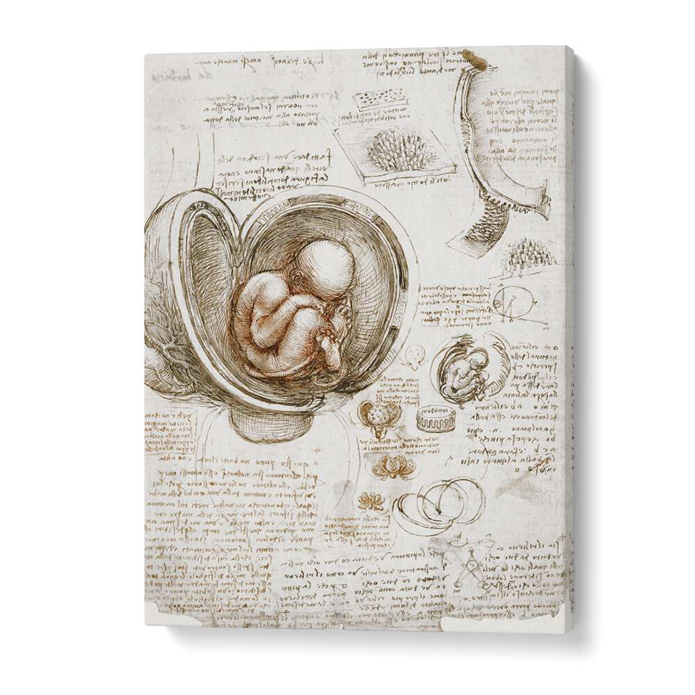 Studies Of The Foetus In The Womb Circa 1510-1513 Vintage Paintings in Gallery Wrap