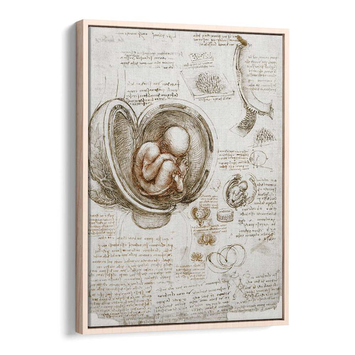 Studies Of The Foetus In The Womb Circa 1510-1513 Vintage Paintings in Oak Wood Floater Frame