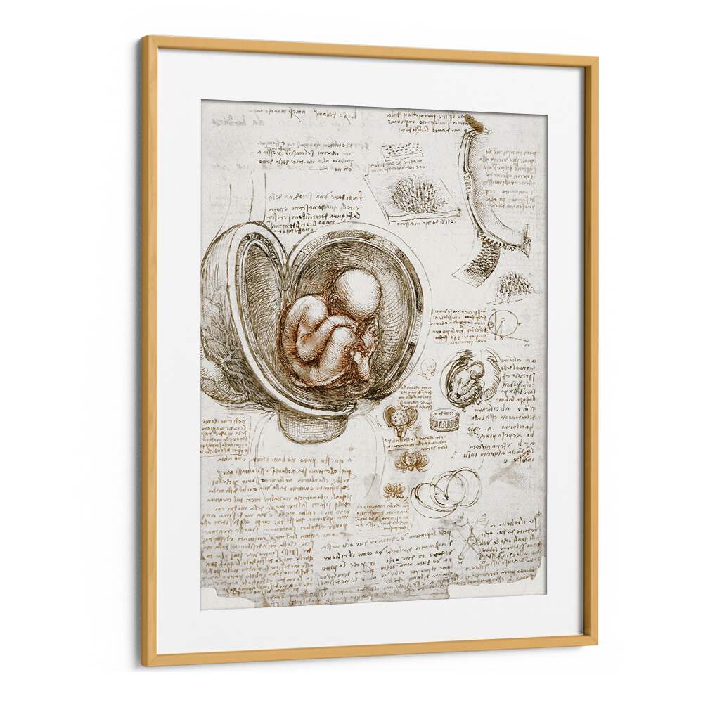 Studies Of The Foetus In The Womb Circa 1510-1513 Vintage Paintings in Oak Wood Frame With Mount