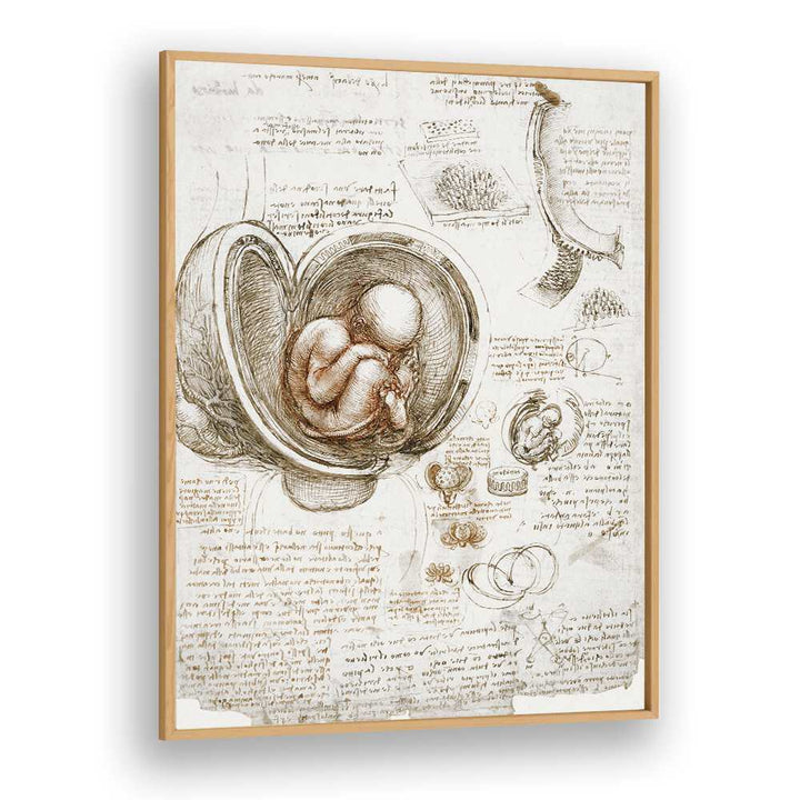 Studies Of The Foetus In The Womb Circa 1510-1513 Vintage Paintings in Oak Wood Plain Frame