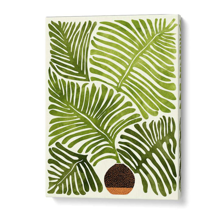 Summer Fern by Kristian Gallagher Botanical Flower Paintings Floral Paintings in Gallery Wrap