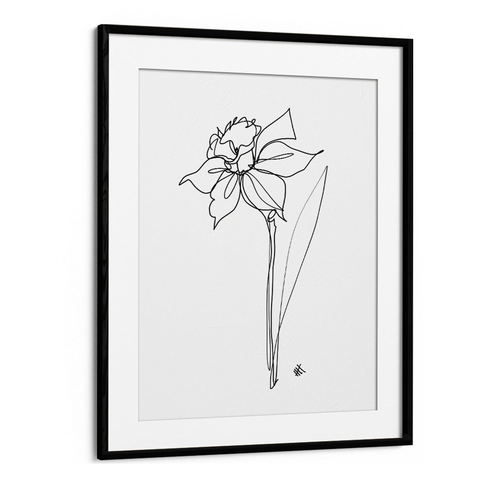 The Daffodil Line Art Artwork in Black Frame With Mount