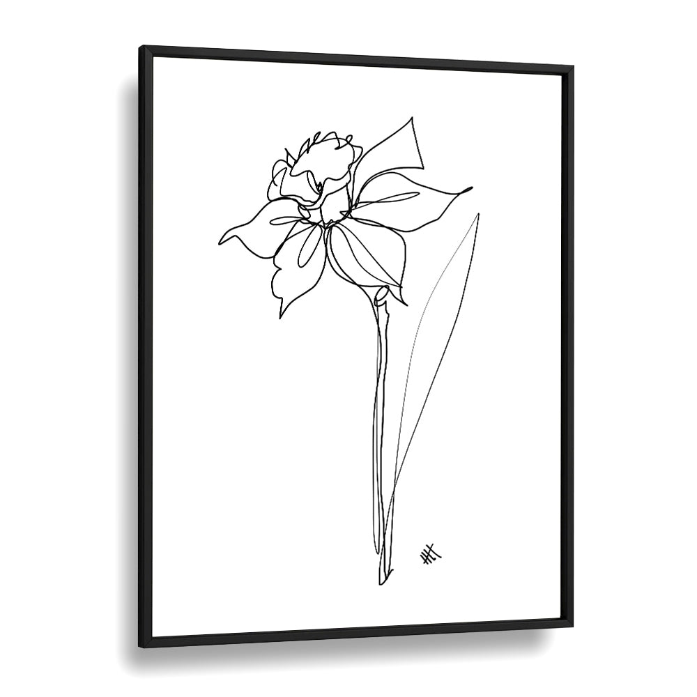 The Daffodil Line Art Artwork in Black Plain Frame