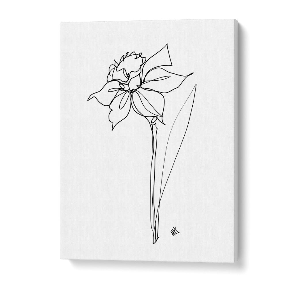 The Daffodil Line Art Artwork in Gallery Wrap
