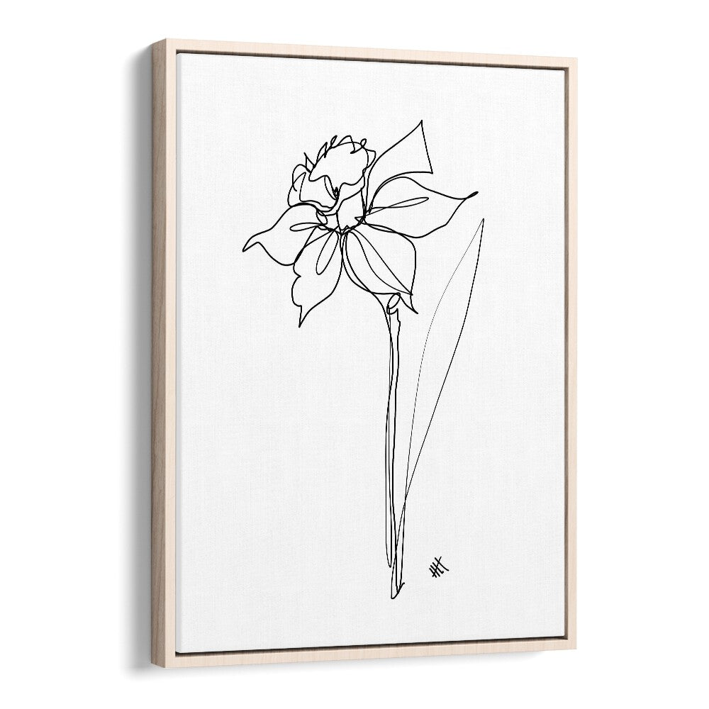 The Daffodil Line Art Artwork in Oak Wood Floater Frame