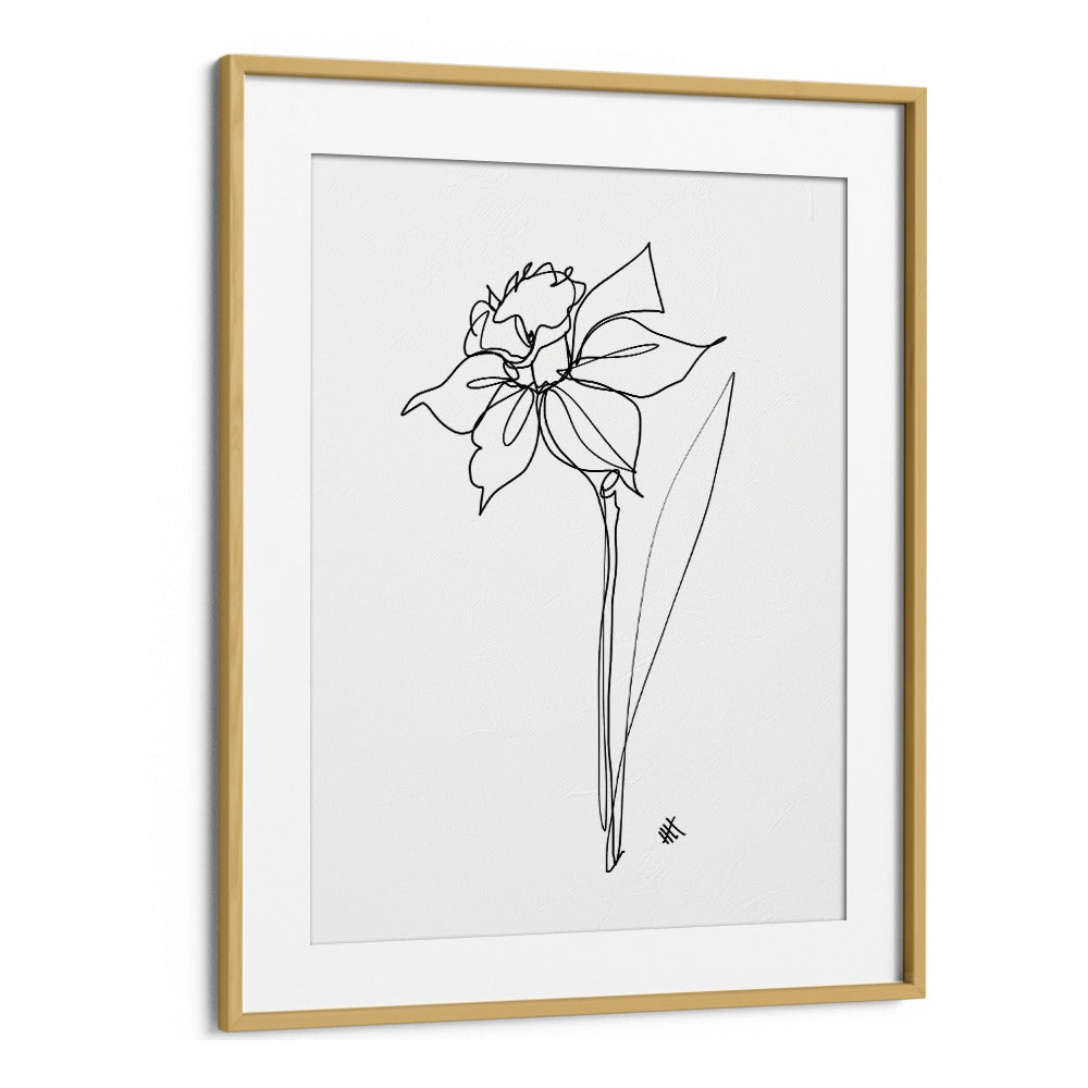 The Daffodil Line Art Artwork in Oak Wood Frame With Mount