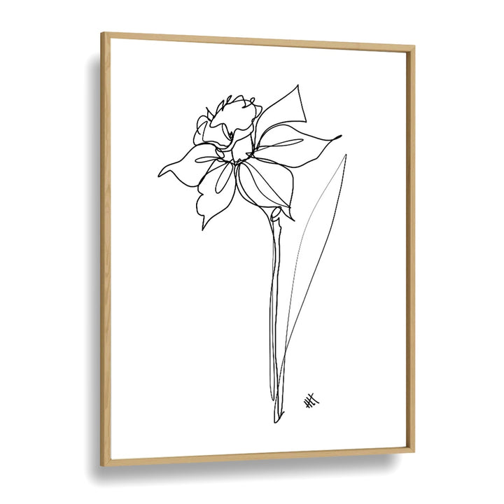 The Daffodil Line Art Artwork in Oak Wood Plain Frame