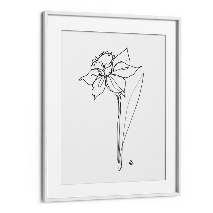 The Daffodil Line Art Artwork in White Frame With Mount